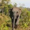 Viaje Grupal Tailandia: La Ruta del Reino de Lanna - Febrero 2026